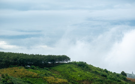 Surreal landscape of morning foggy..Morning clouds at sunrise.Landscape of fog and mountains of northern Thailandの写真素材