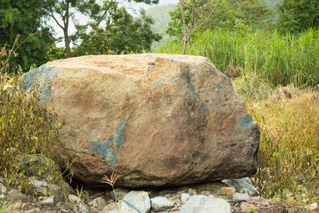 A large cheetah sedimentary rock in natureの写真素材