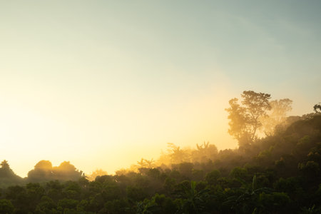 The mist that hit the sunlight in the morning has a beautiful orange colorの写真素材