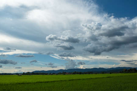 The white clouds have a strange shape and moutain.The sky and the open space have mountains below.Clouds floating above the mountainsの写真素材