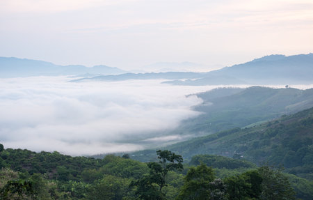 Surreal landscape of morning foggy..Morning clouds at sunrise.Landscape of fog and mountains of northern Thailandの写真素材
