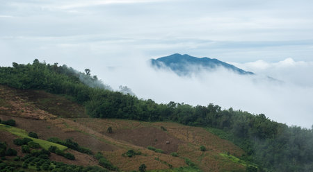 Surreal landscape of morning foggy..Morning clouds at sunrise.Landscape of fog and mountains of northern Thailandの写真素材