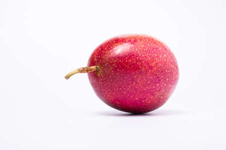 One passion fruit is purple on white backgroundの写真素材