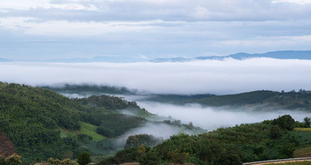 Surreal landscape of morning foggy. Morning clouds at sunrise. Landscape of fog and mountains of northern Thailand.の写真素材