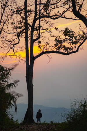 man standing under a large tree looking at the view.people and silhouetteの写真素材