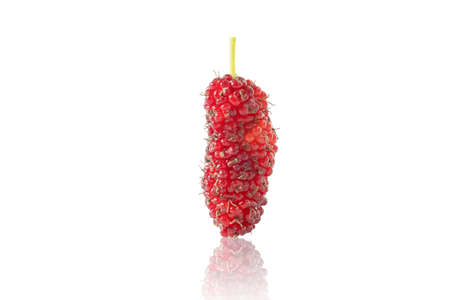 mulberry in isolated with clipping path.の写真素材