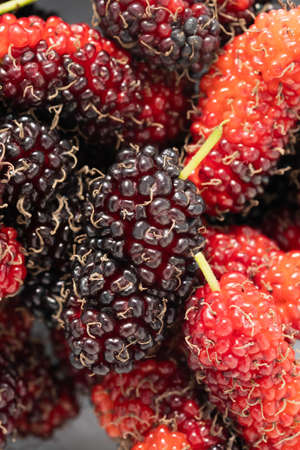 Close up mulberry,selective focus,Mulberry in Thailand