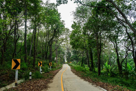Thailand country road landscape.Traveler journey by roads.the scenery of the country road and the mountains on both sides of the road with treesの写真素材