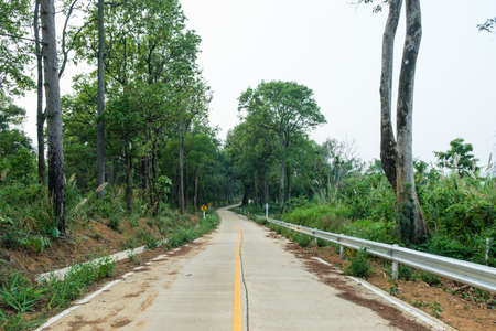 Thailand country road landscape.Traveler journey by roads.the scenery of the country road and the mountains on both sides of the road with treesの写真素材