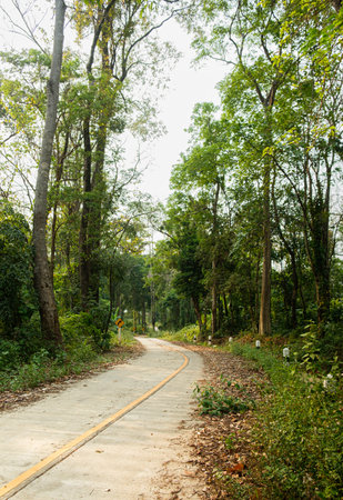 Thailand country road landscape.Traveler journey by roads.the scenery of the country road and the mountains on both sides of the road with treesの写真素材