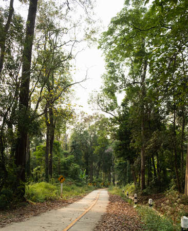 Thailand country road landscape.Traveler journey by roads.the scenery of the country road and the mountains on both sides of the road with treesの写真素材