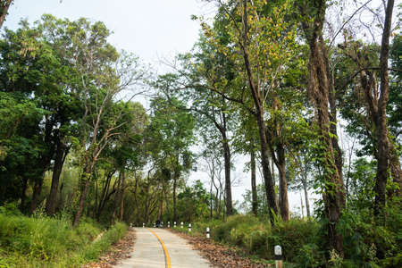 Thailand country road landscape.Traveler journey by roads.the scenery of the country road and the mountains on both sides of the road with treesの写真素材