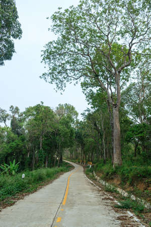 Thailand country road landscape.Traveler journey by roads.the scenery of the country road and the mountains on both sides of the road with treesの写真素材