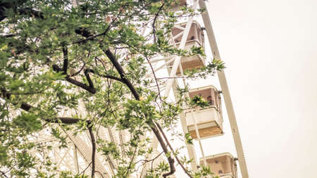 Budapest attraction Budapest Eye with a view from underneath a tree.の写真素材