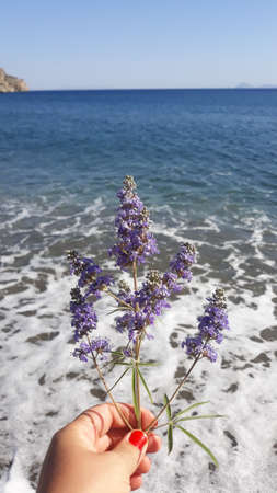Lavender flowers on the background of the sea. Selective focus.の写真素材