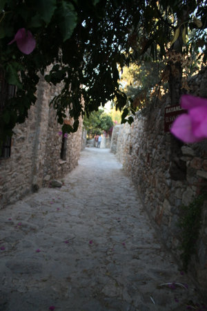 Greece, Zakynthos Island, narrow street in the old townの写真素材