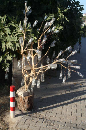 Decorated tree on the streetの写真素材