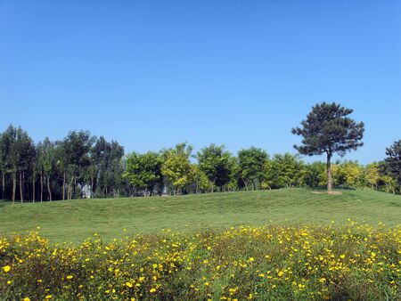 Fieldの写真素材