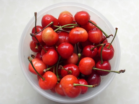 Cherryの写真素材