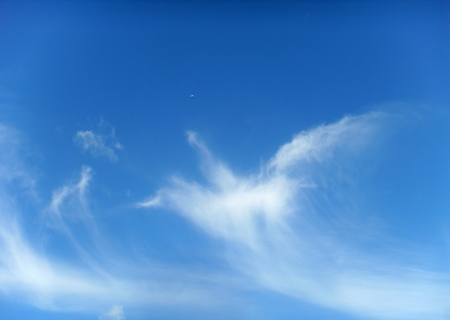 the white cloud likes a  birdの写真素材