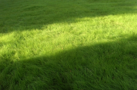 the sunshine on grasslandの写真素材