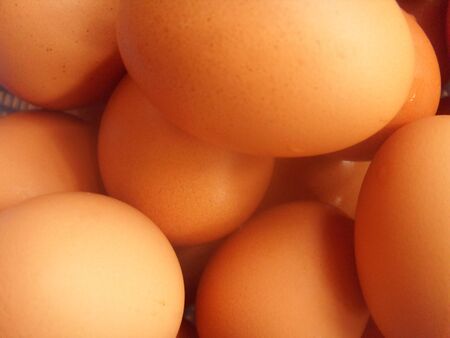 eggsの写真素材