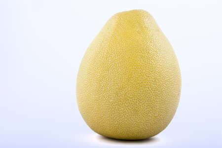 pamela yellow on a white backgroundの写真素材