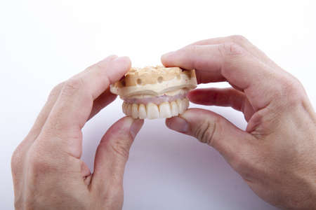 model of the jaw in his hands on a white background