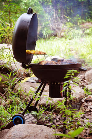 grill chicken on barbeque isolated green forestの写真素材