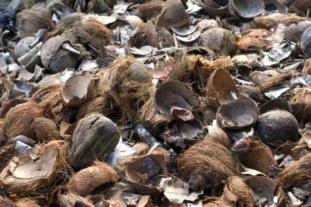 Coconut shell waste in full frame. のeditorial素材