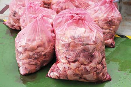 Processed chicken pack in plastic bag at pultry, ready to delivery to meat shop.のeditorial素材