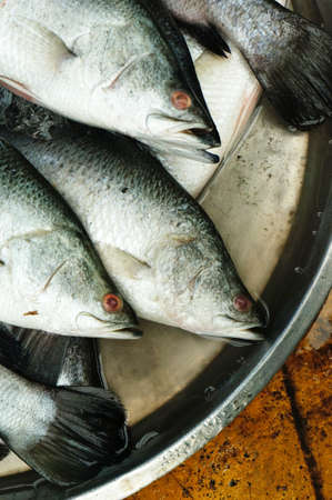 Close up fish on silver tray for sale at market place