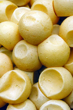 Close up turtle egg in nice patternの写真素材