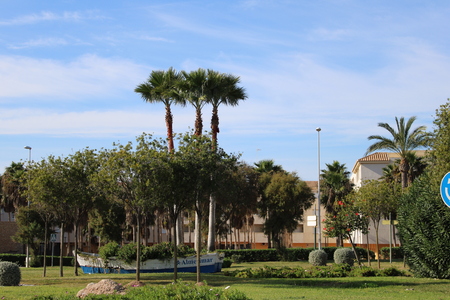 Floral arrangement in recreational park surrounded by palm treesの写真素材