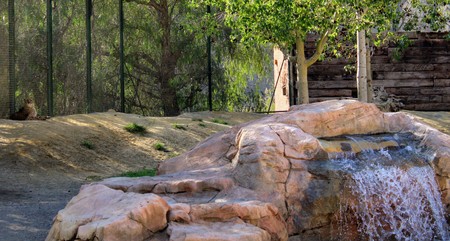 Wild animals in zoo of Almeria theme parkの写真素材