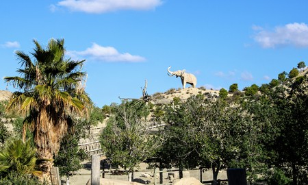 Wild animals in zoo of Almeria theme parkの写真素材