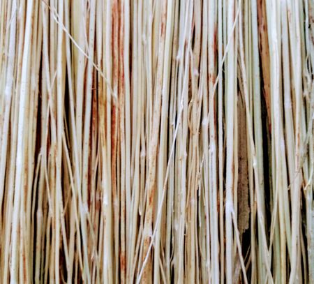 Image for background and texture in brown and grey tonesの写真素材
