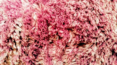 Image for backgrounds and texture in pink tonesの写真素材