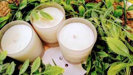 Nice arrangement with plants and candles for backgrounds and graphic resourceの写真素材