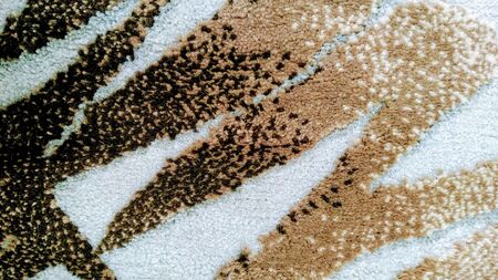 Images for background and textures in green and brown tonesの写真素材
