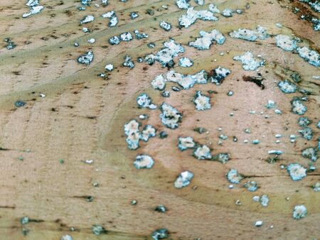 Image for background and texture in brown and grey tonesの写真素材