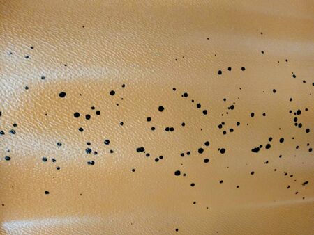 Image for background and texture in brown and grey tonesの写真素材