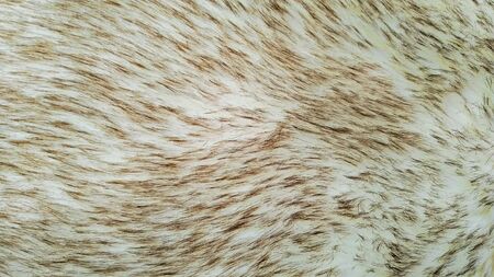 Images for backgrounds and texture in dark and light brown tonesの写真素材