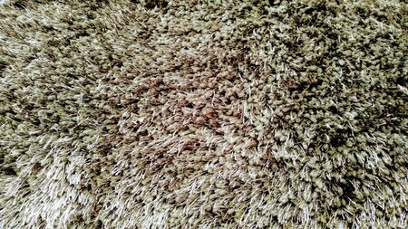 Images for backgrounds and texture in dark and light brown tonesの写真素材