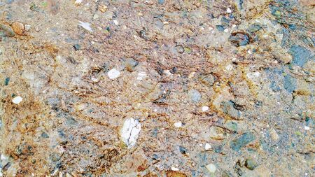 Images for backgrounds and texture in dark and light brown tonesの写真素材