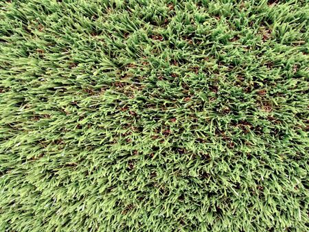 Images for background and texture in different green tonesの写真素材
