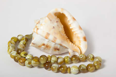 seashell with malachite beads on a white backgroundの写真素材