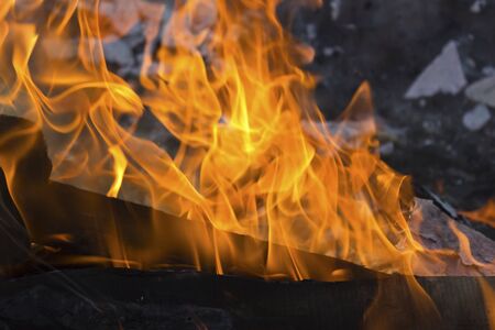 burning wood in a fire on a black backgroundの写真素材