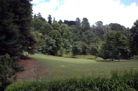 Park in the sunny summer day with some cloudsの写真素材