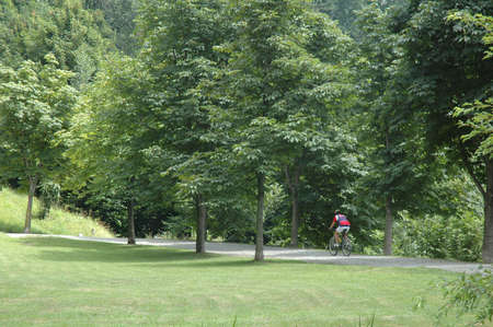 A man cicling in the park in summer の写真素材